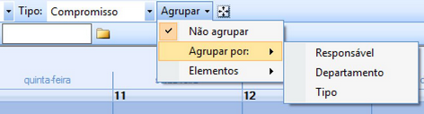 Visualizacao Agenda Agrupar Tipo