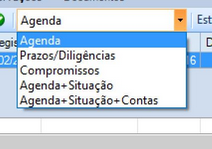 Area Processo Outros Campos Agenda Tipo
